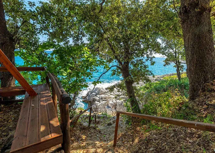 Katerina Fotopoulos & - Papanero Com Lägenhet