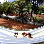 Lägenhet Katerina Fotopoulos & - Papanero Com Agios Ioannis (Thessaly)