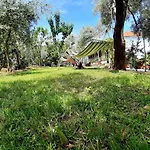 Katerina Fotopoulos & - Papanero Com * Agios Ioannis (Thessaly)