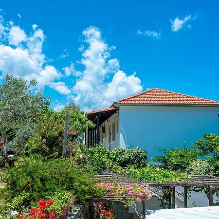 Katerina Fotopoulos & - Papanero Com Agios Ioannis (Thessaly)