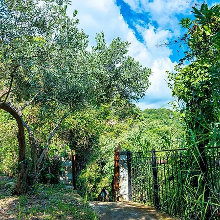 Katerina Fotopoulos & - Papanero Com Apartment