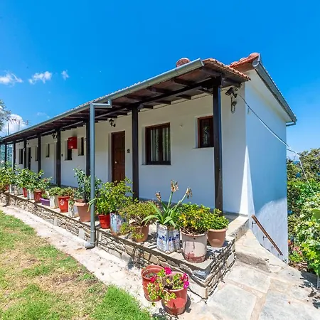 Katerina Fotopoulos & - Papanero Com Apartment