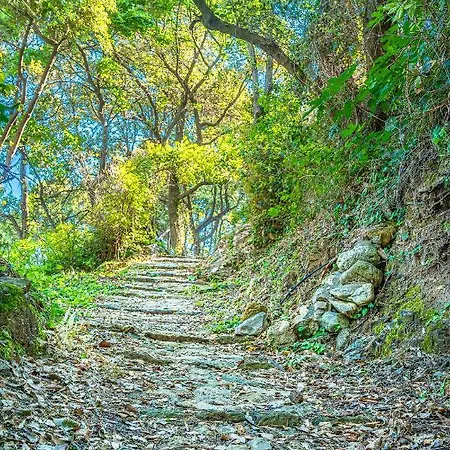 Apartment Katerina Fotopoulos & - Papanero Com *