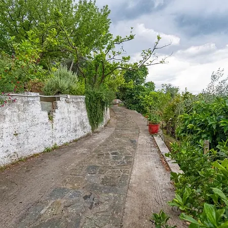 Katerina Fotopoulos & - Papanero Com * Agios Ioannis (Thessaly)