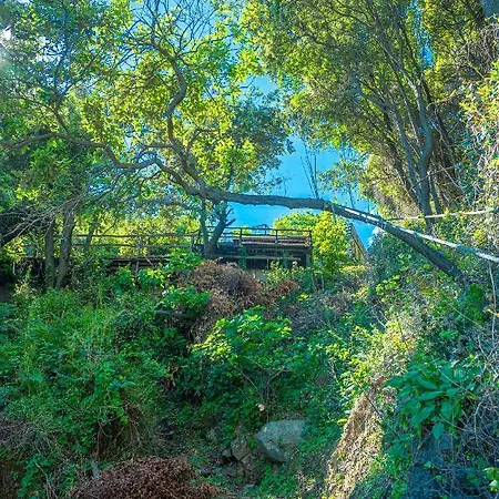 Katerina Fotopoulos & - Papanero Com Apartment