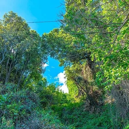 Katerina Fotopoulos & - Papanero Com Apartment Agios Ioannis (Thessaly)