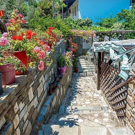 Apartment Katerina Fotopoulos & - Papanero Com *