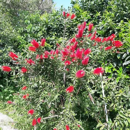 Apartment Katerina Fotopoulos & - Papanero Com