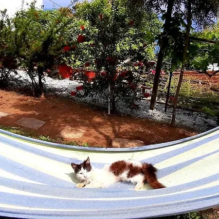 Apartament Katerina Fotopoulos & - Papanero Com Agios Ioannis (Thessaly)