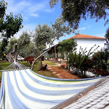 Katerina Fotopoulos & - Papanero Com * Agios Ioannis (Thessaly)