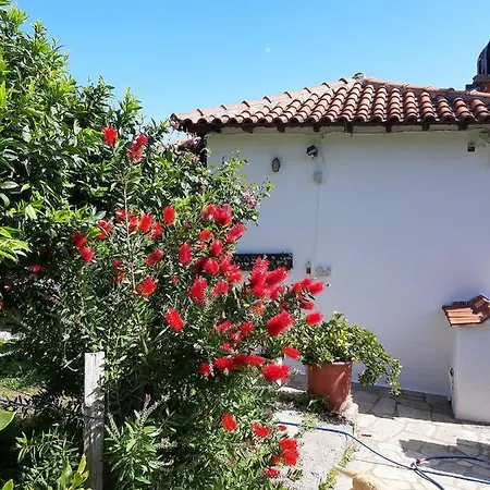 Katerina Fotopoulos & - Papanero Com Apartament *