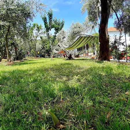 Katerina Fotopoulos & - Papanero Com * Agios Ioannis (Thessaly)