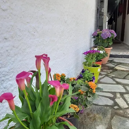 Katerina Fotopoulos & - Papanero Com Agios Ioannis (Thessaly)